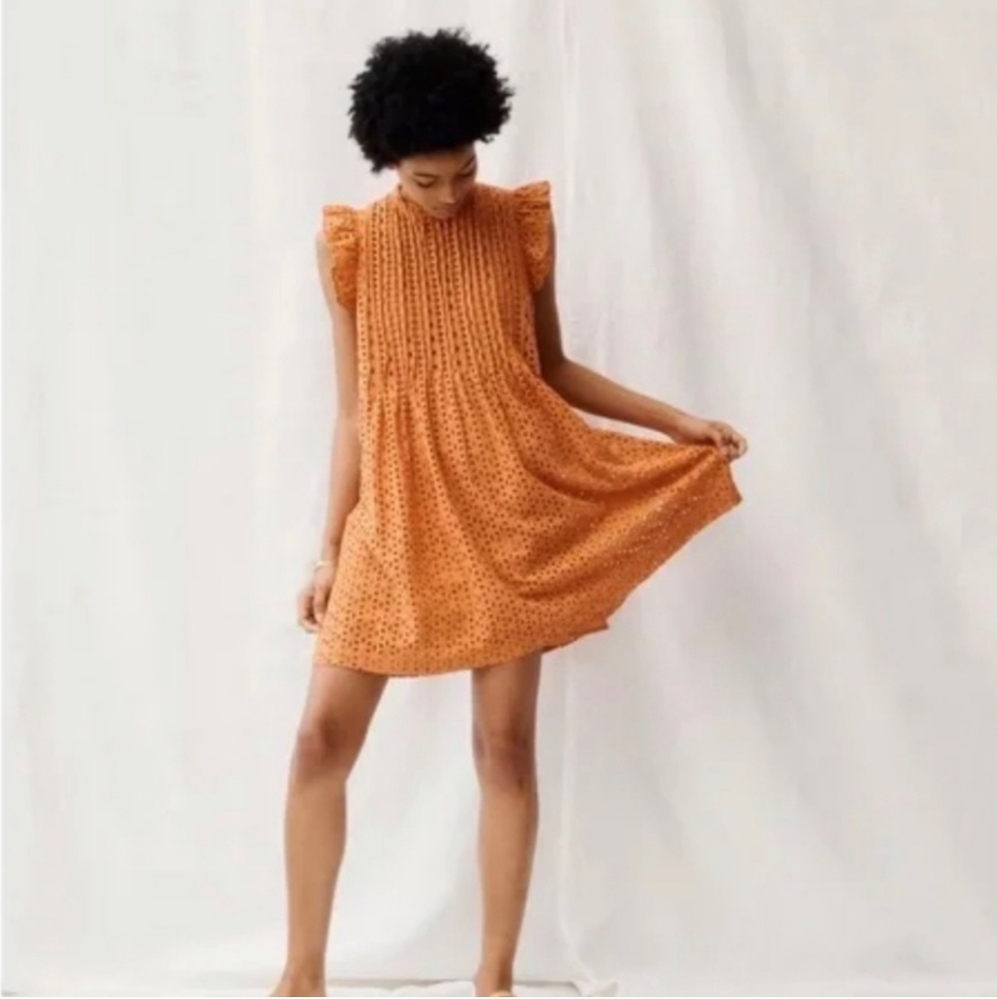 Madewell Eyelet Ruffle-Sleeve Pintuck Mini Dress
